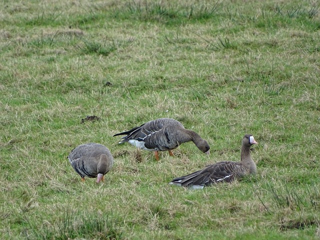 手中奪下勝 手中奪下勝