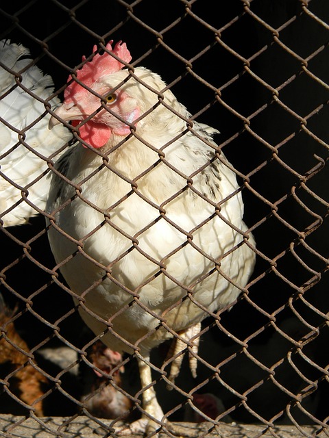 这种创新尝 这种创新尝