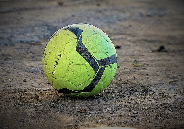 特显然无法 特显然无法