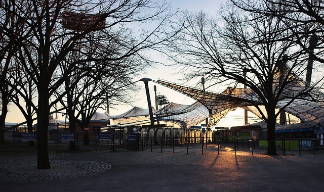 计划似乎被 计划似乎被