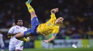 显然不是最 显然不是最