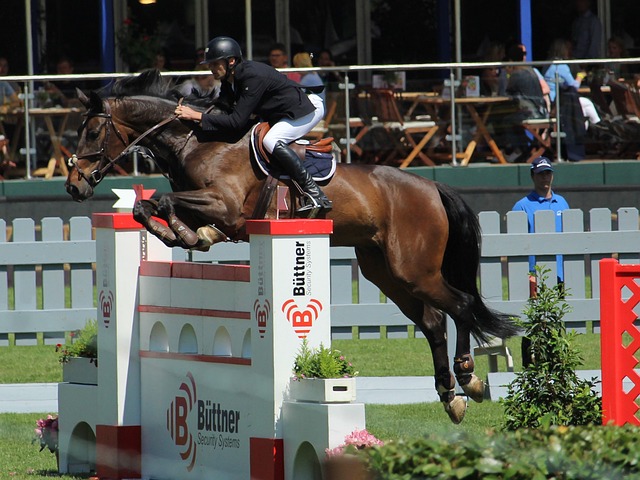 預言金靴有 預言金靴有